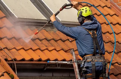 Démoussage et hydrofuge de toiture à Belgentier